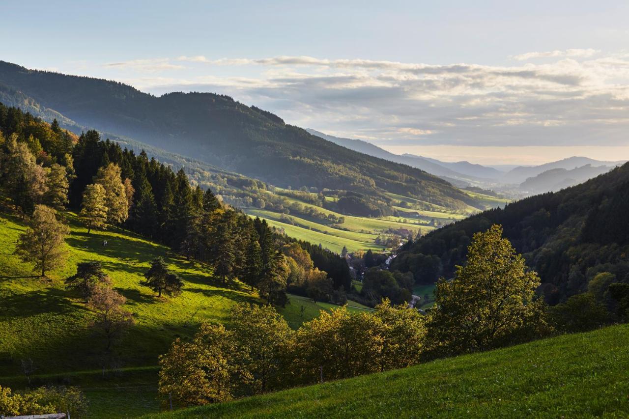 Elzland Hotel 9 Linden "Ferienwohnung" Elzach Eksteriør bilde